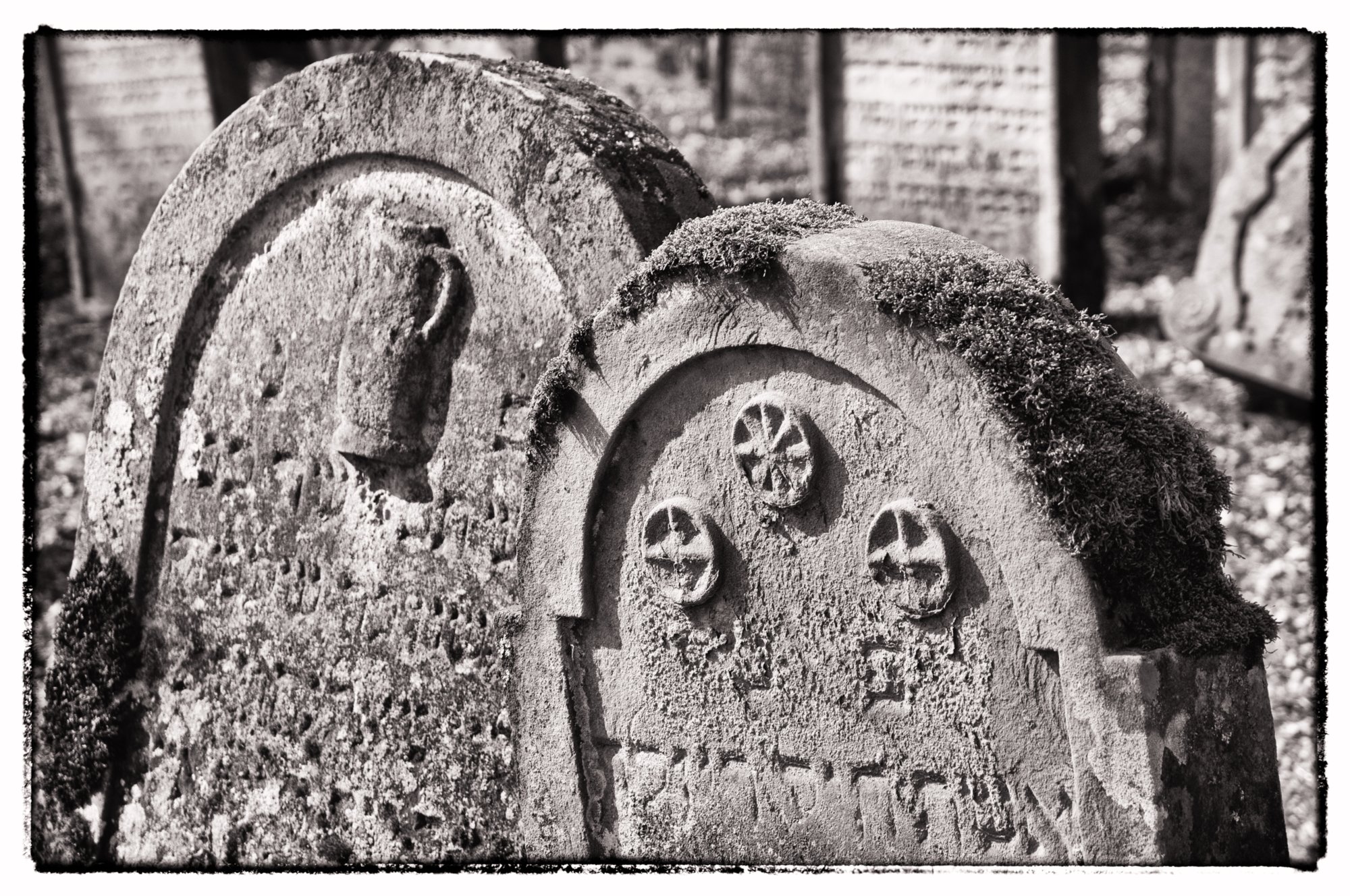 Jüdischer Friedhof Berlichingen Jüdischer Friedhof Berlichingen. Er wurde erstmals 1623 genannt und diente zahlreichen jüdischen Gemeinden der Umgebung als Begräbnisplatz (1706 genannt: Adelsheim, Sennfeld, Merchingen, Amt Krautheim, Hollenbach, Hohebach, Nagelsberg, teilweise auch Braunsbach; dazu bis ins 19./20. Jahrhundert Bieringen, Ernsbach, Künzelsau). Quelle: http://www.alemannia-judaica.de/berlichingen_friedhof.htm Wanderung vom Kloster Schöntal über den jüdischen Friedhof nach Jagsthausen und nach Berlichingen