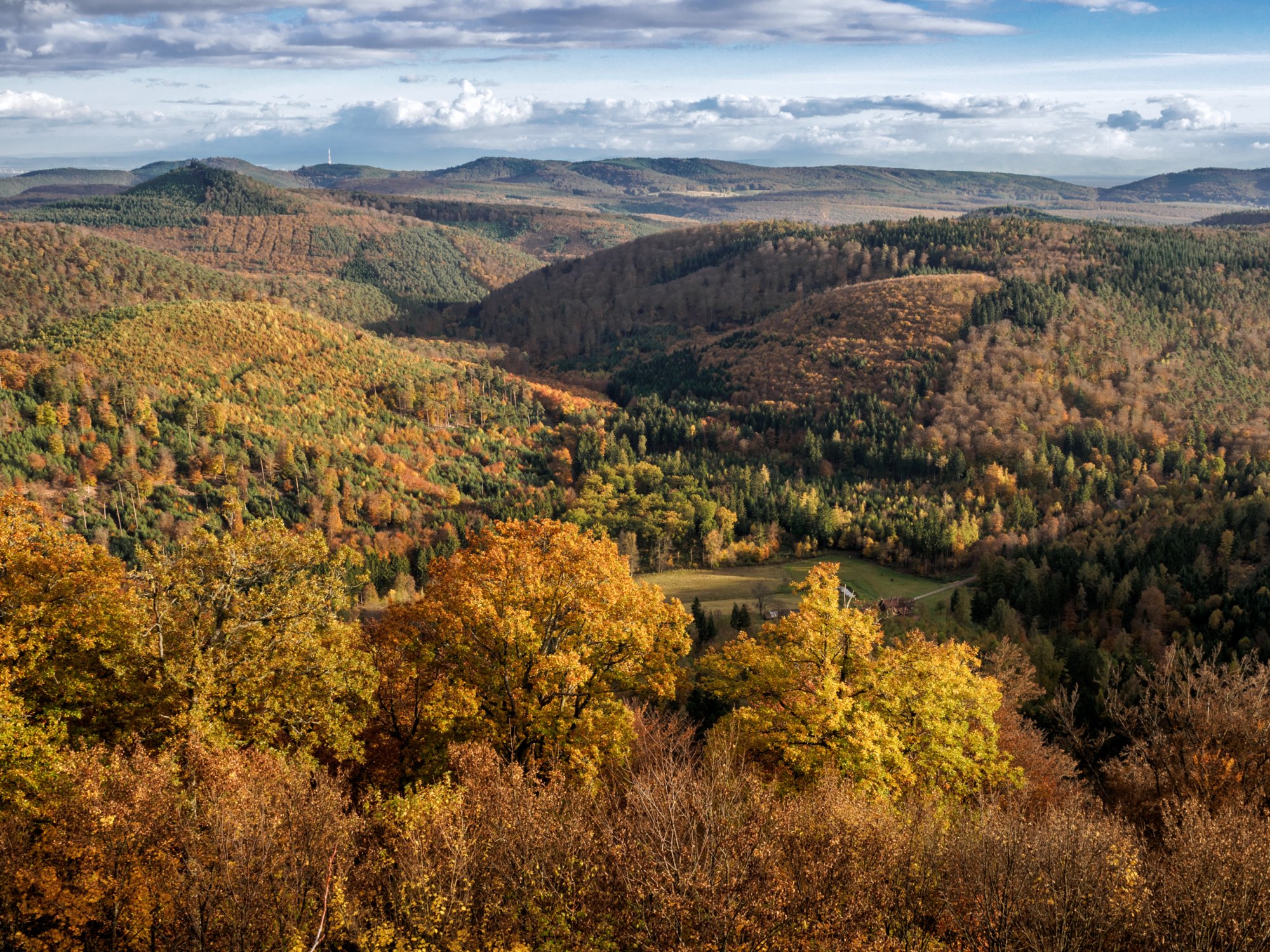 Wegelnburg Herbstwanderung vom Gimbelhof (Elsass) über den Löwenfelsen und Kastell Hohenbourg zur Ruine Wegelnburg. Von dort runter zur Burg Fleckenstein und wieder zurück zum Gimbelhof.