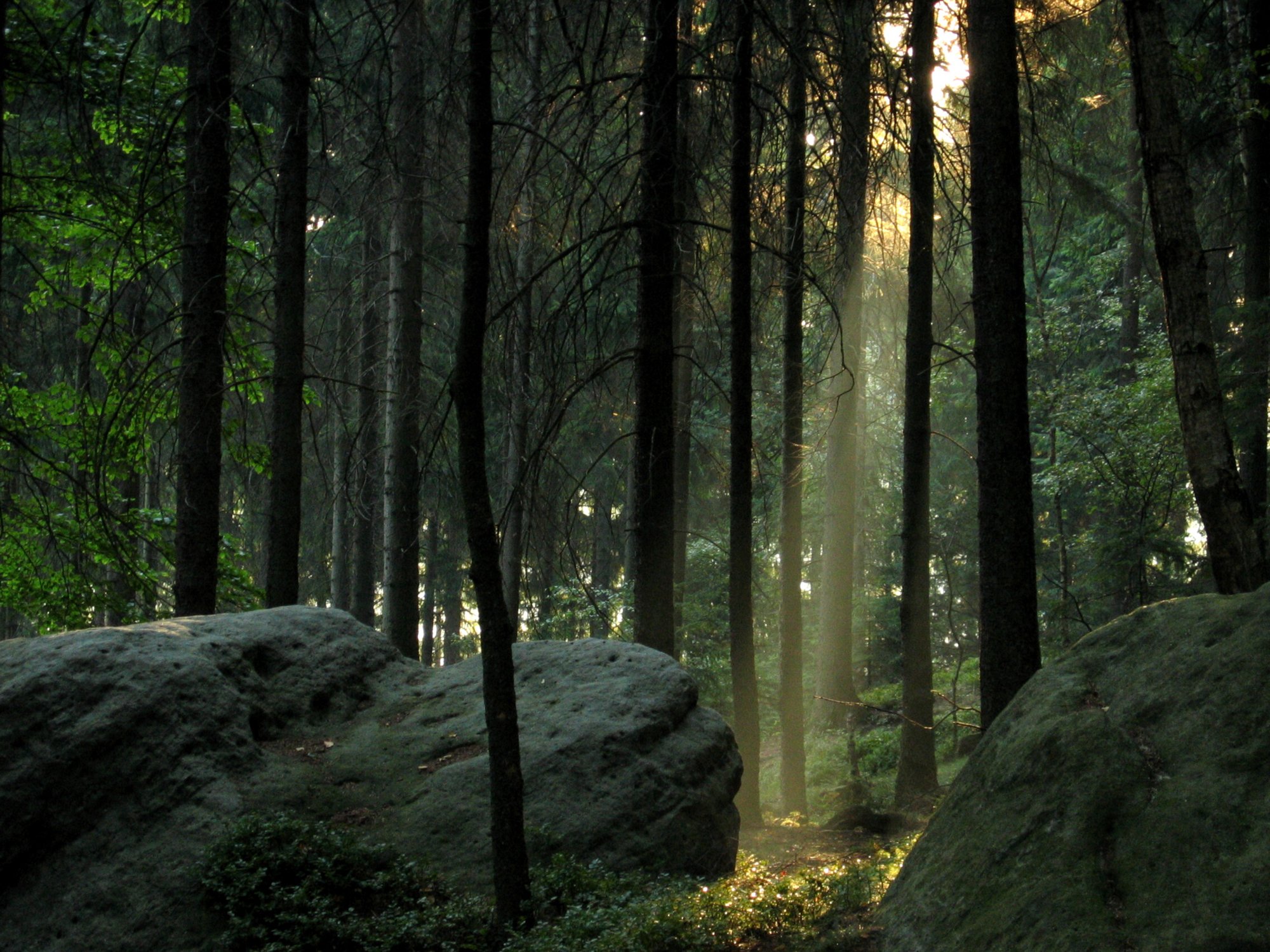 morning_14_1 