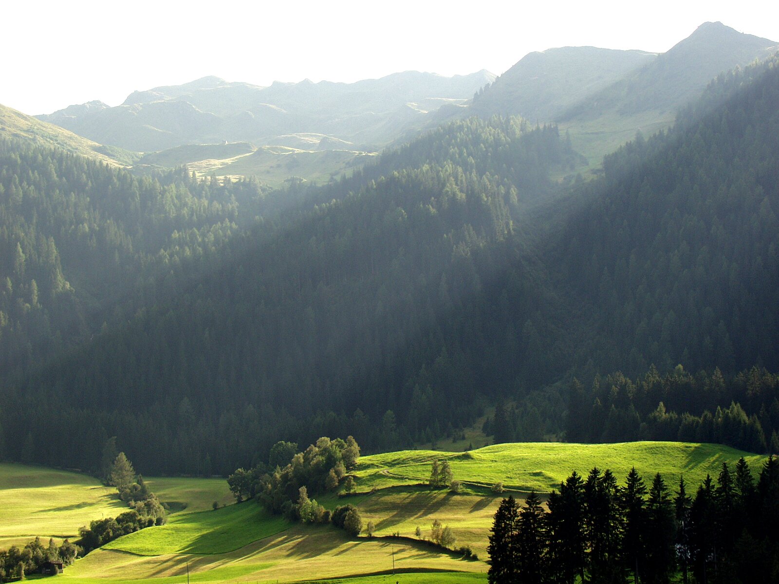 suedtirol65 