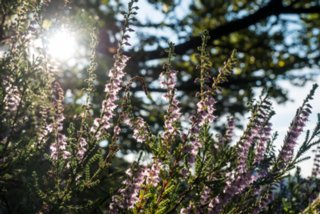 20160816_rabensteine_143