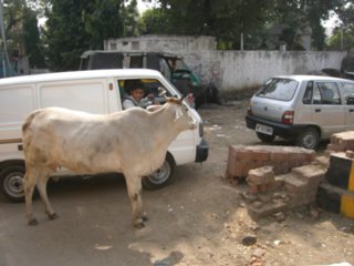 065_20071101