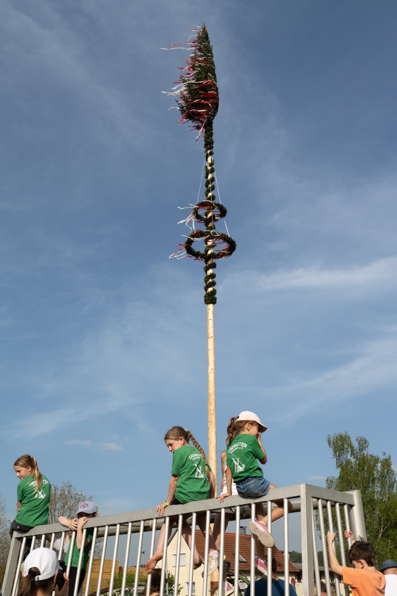 20240430_maibaum_275 