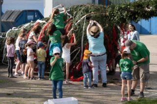 20240430_maibaum_060