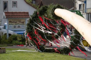 20240430_maibaum_149
