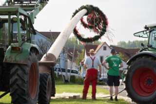 20240430_maibaum_230