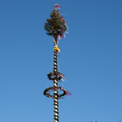 2025-04-30_Maibaumstellen