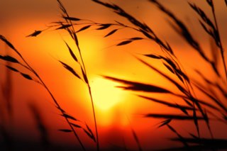 abend_11