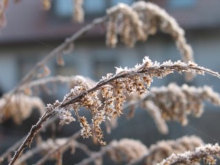 abschied_61
