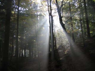 abschied_73