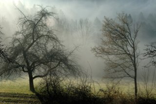 abschied_77