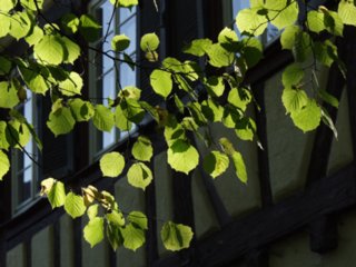 blueten_21
