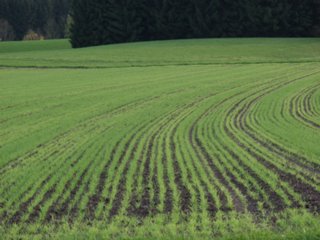 erde_08