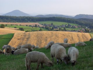 erde_18