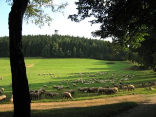 erde_19