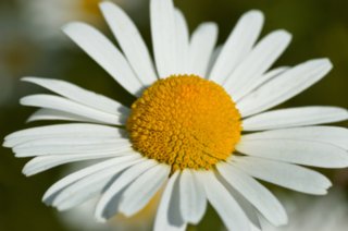 schoepfung_011