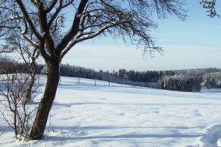 winter_006