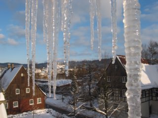 winter_009