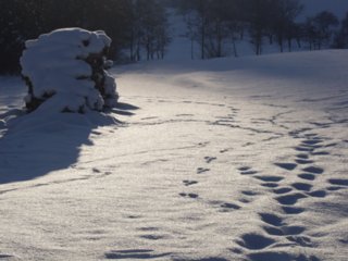 winter_021