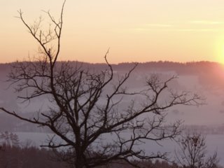 winter_031