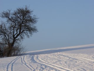 winter_037