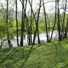 Wasser