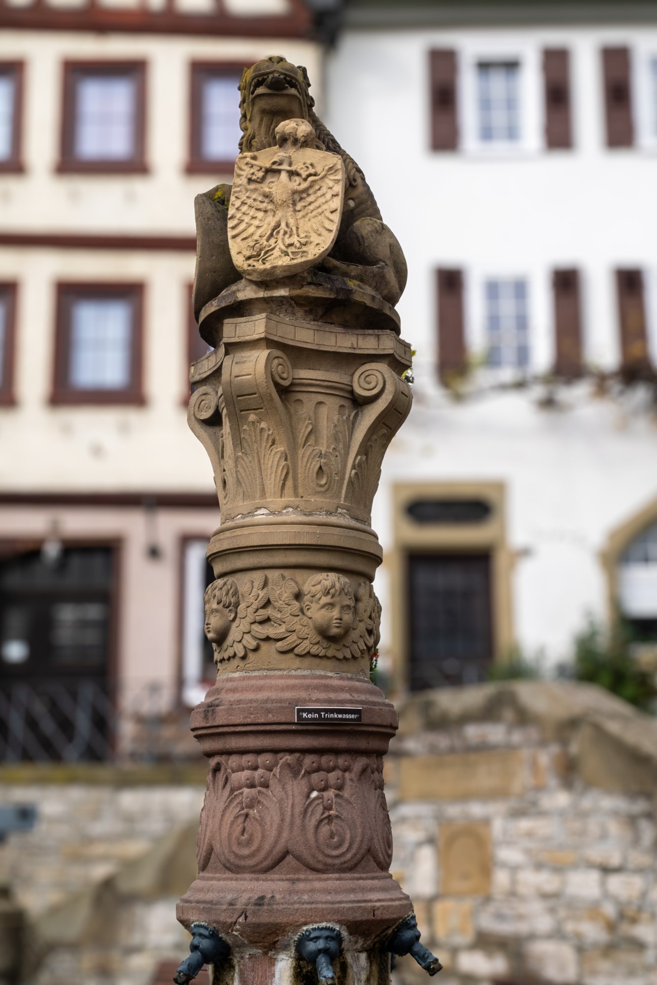 20231103_bad_wimpfen_012 