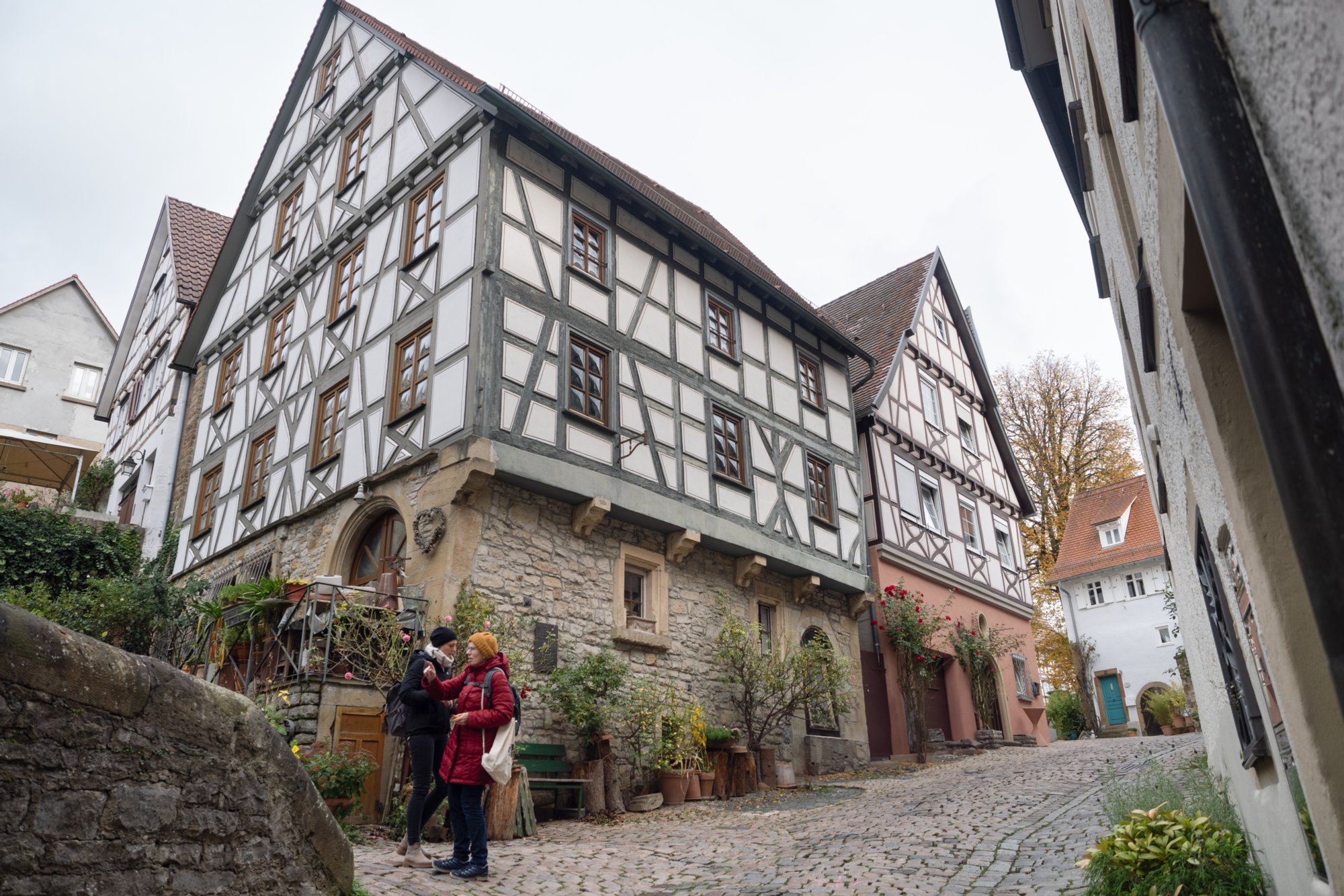 20231103_bad_wimpfen_039_edit_edit 