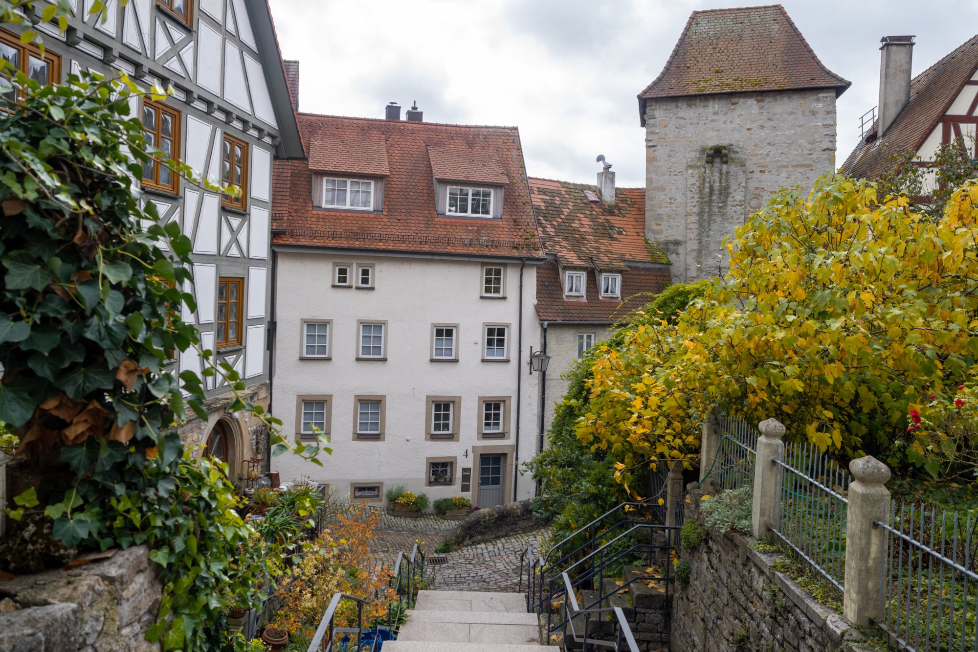 20231103_bad_wimpfen_040 