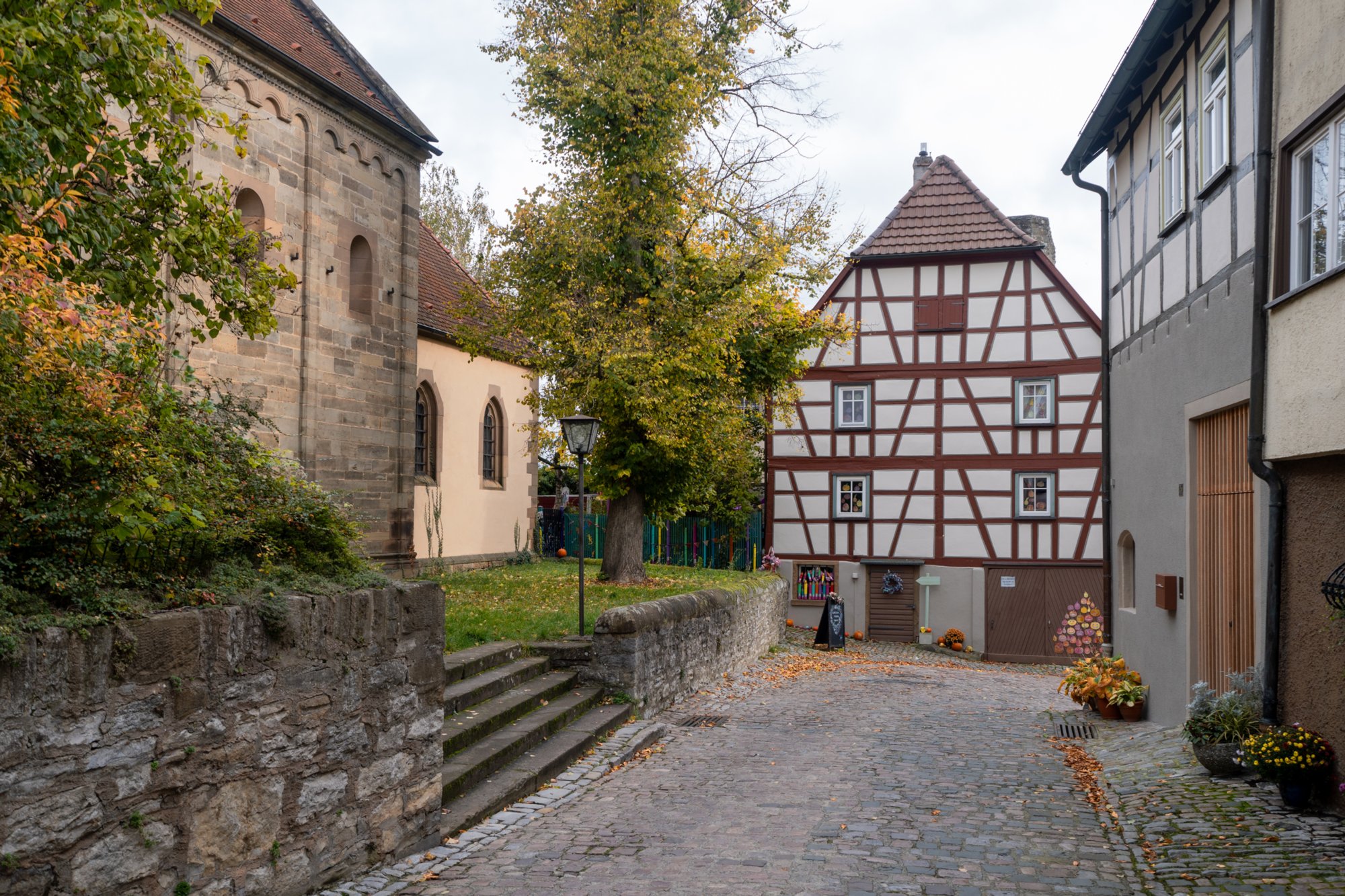 20231103_bad_wimpfen_042 