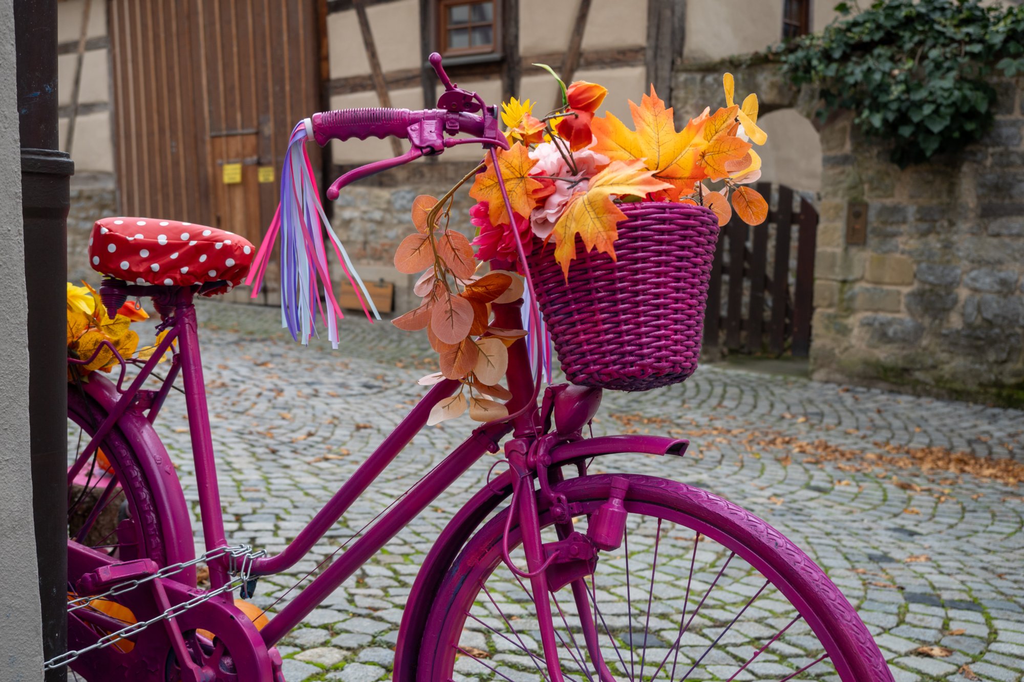 20231103_bad_wimpfen_057 