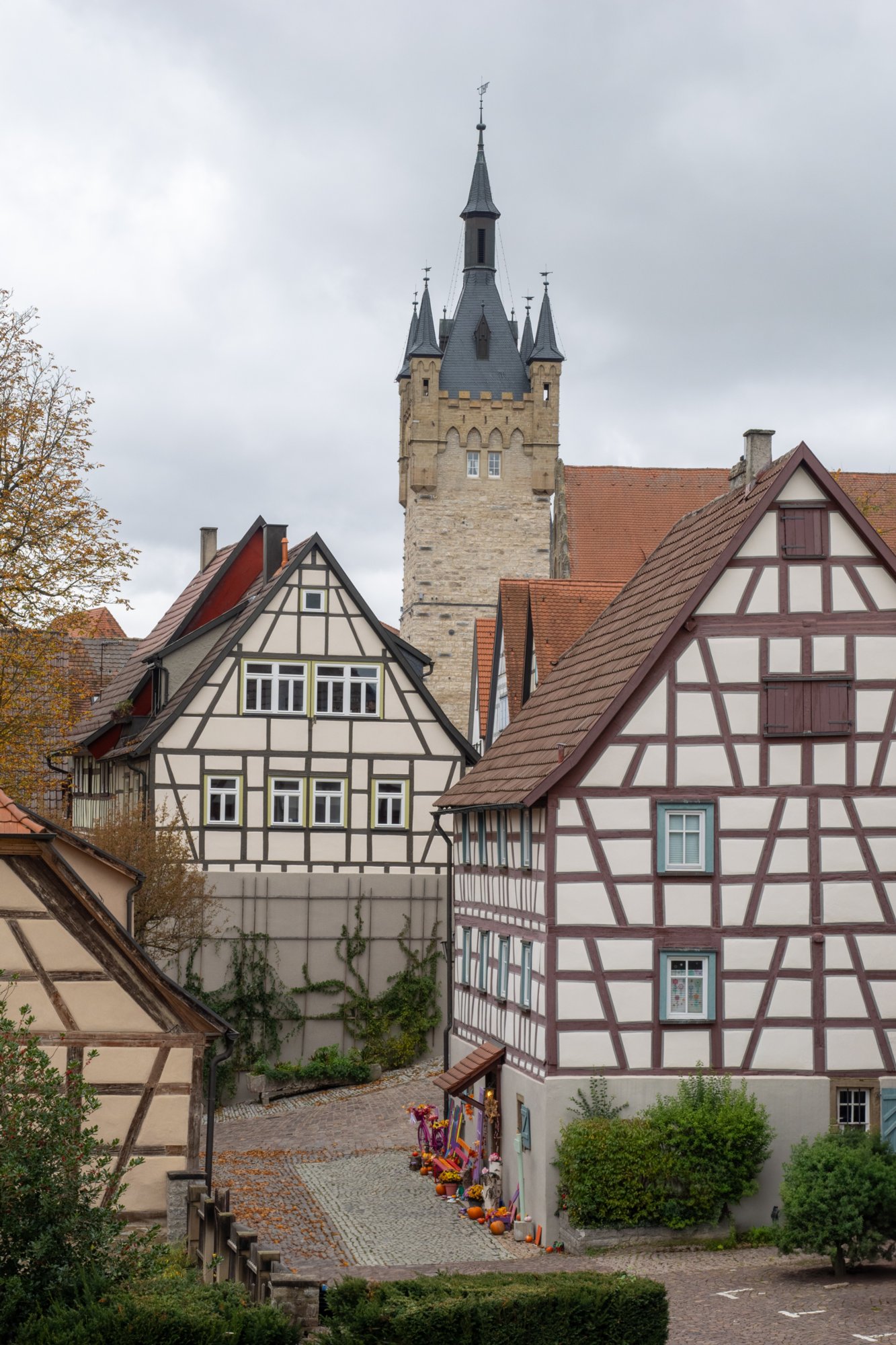 20231103_bad_wimpfen_077_edit 