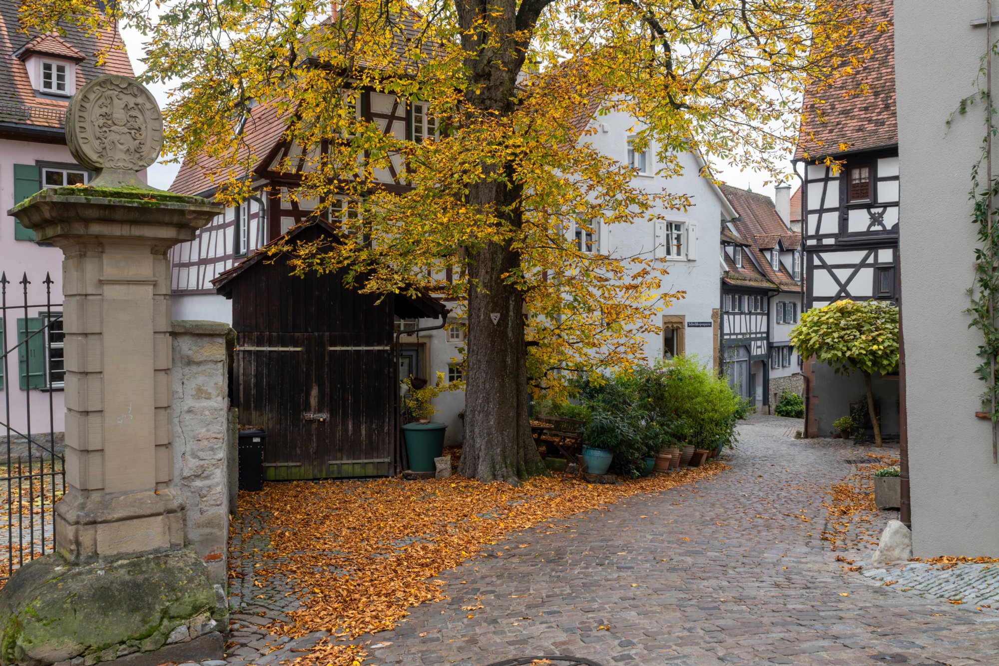 20231103_bad_wimpfen_099-Verbessert-RR_edit 