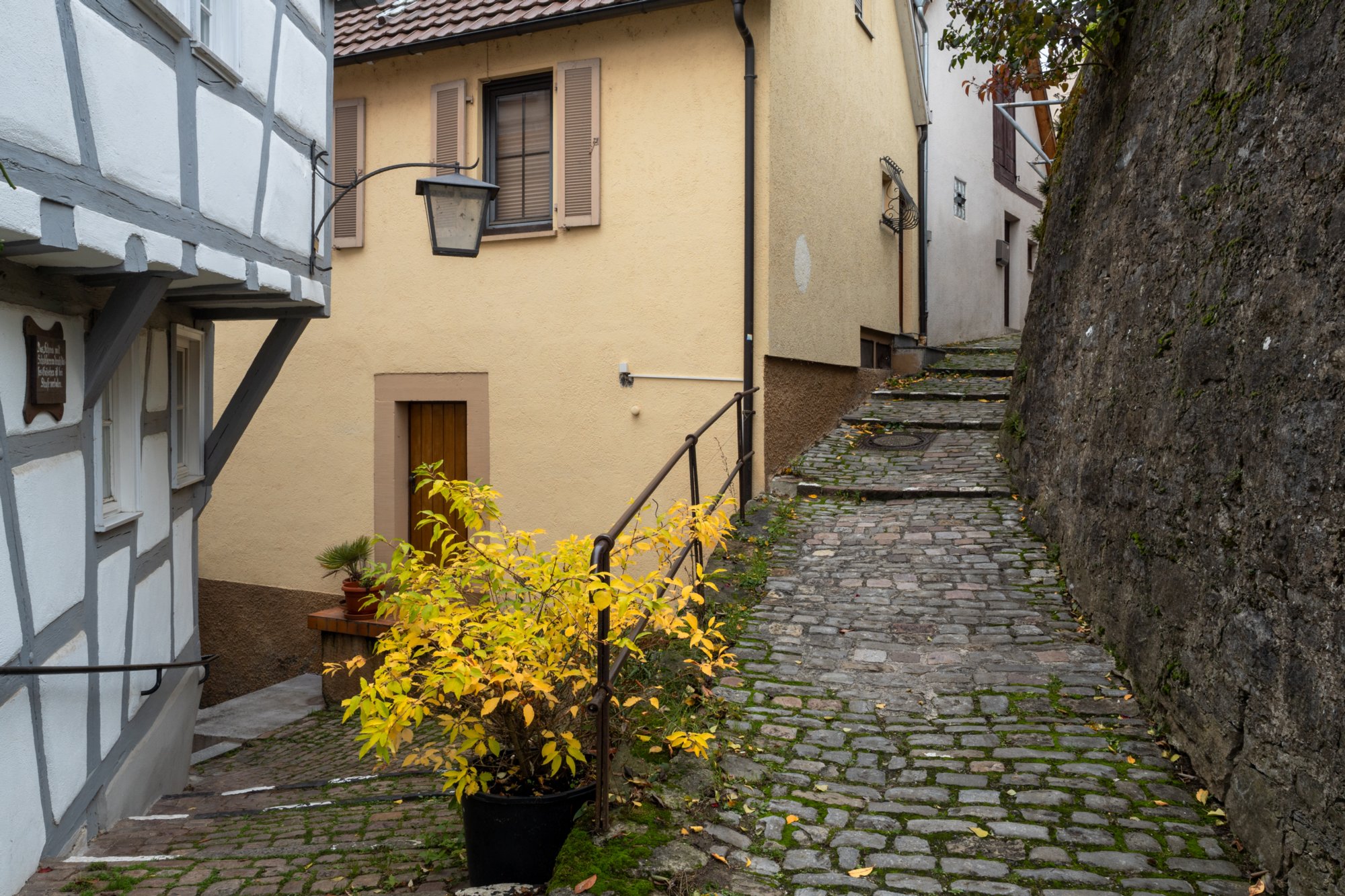 20231103_bad_wimpfen_112 