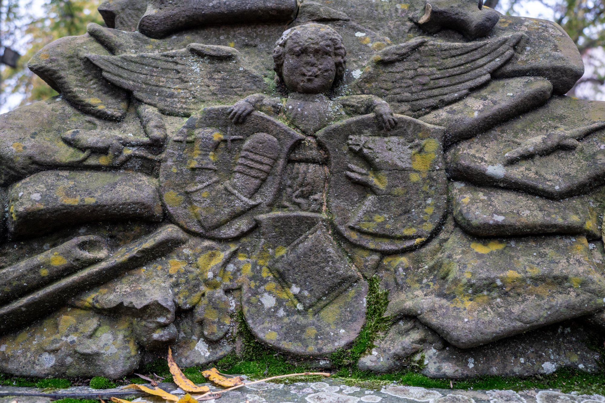 20231103_bad_wimpfen_158 