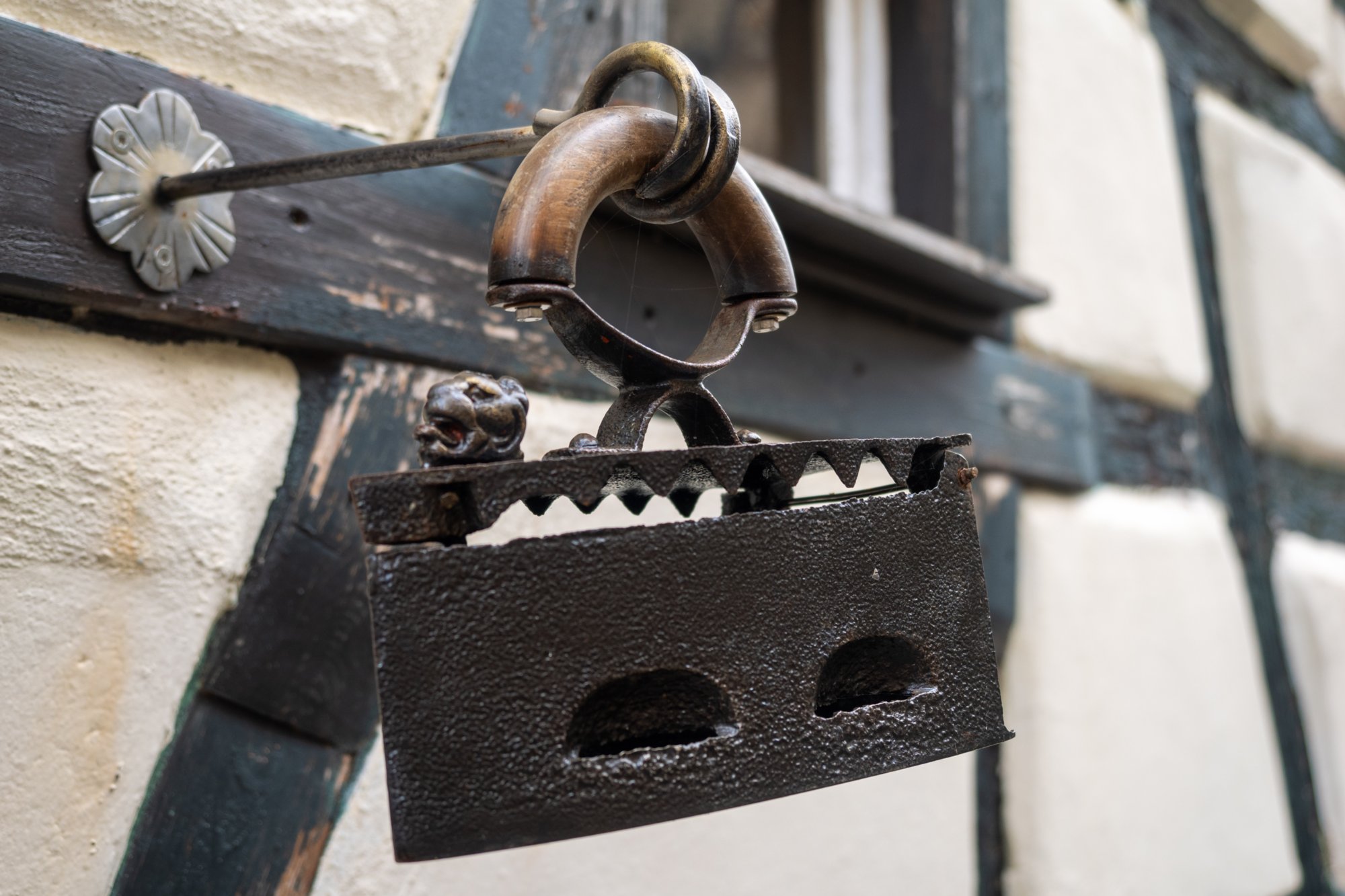 20231103_bad_wimpfen_172 