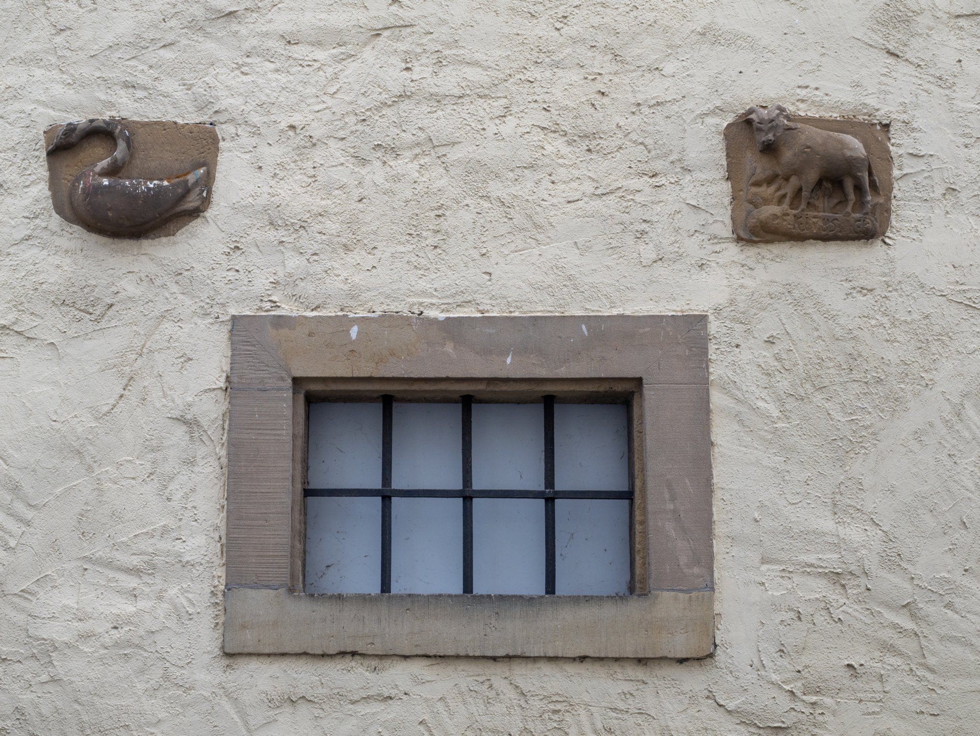 20231103_bad_wimpfen_189 