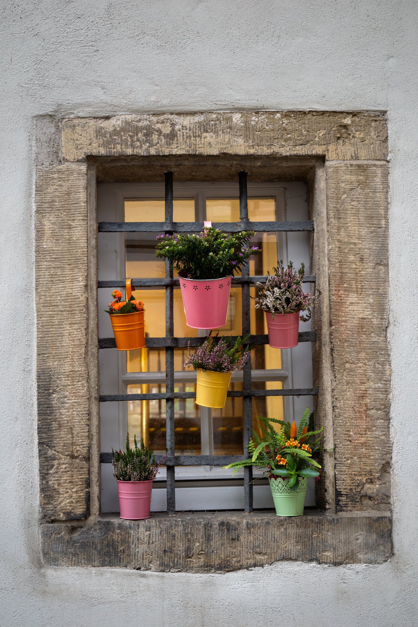 20231103_bad_wimpfen_222_edit 