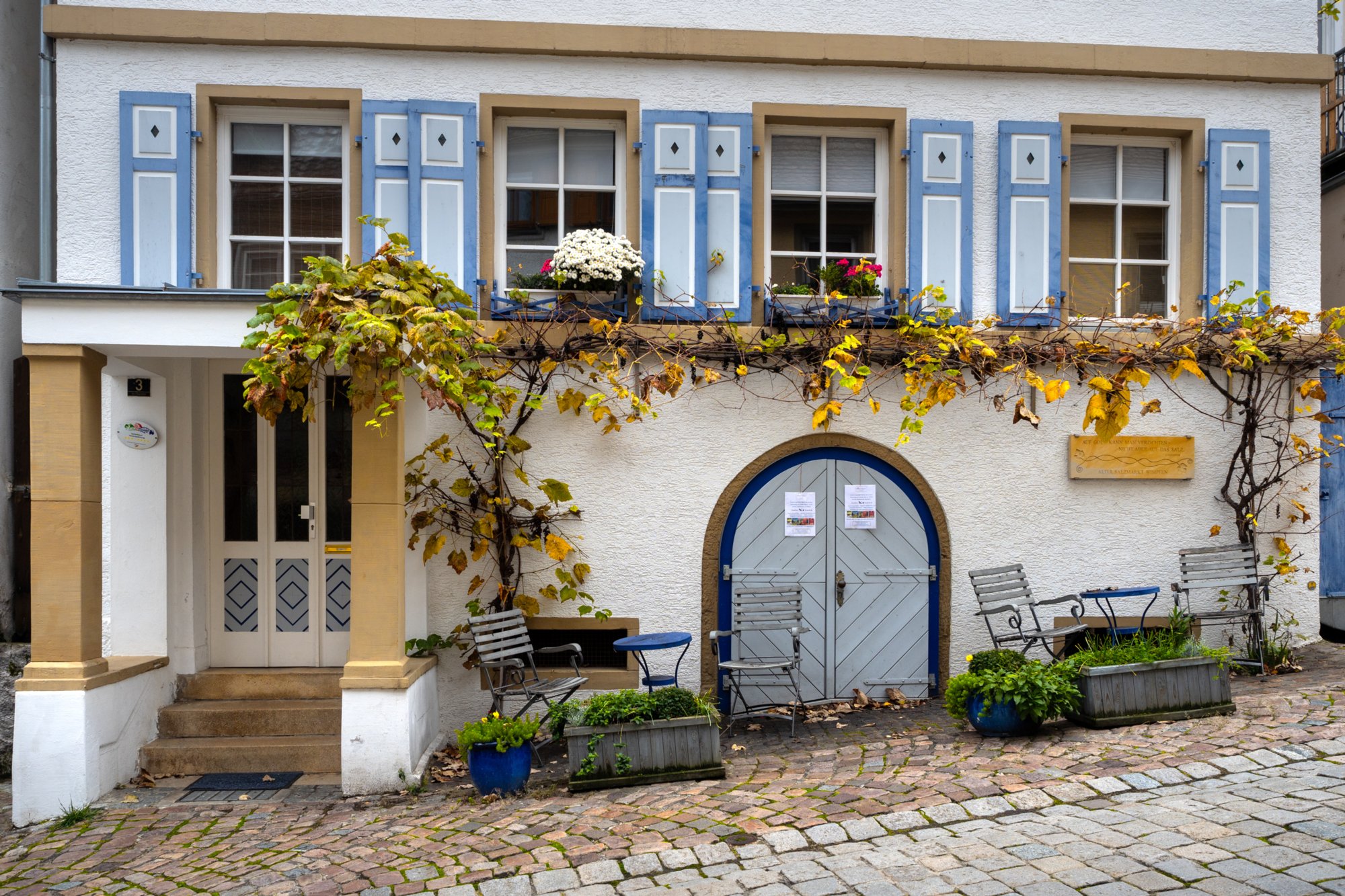 20231103_bad_wimpfen_238 