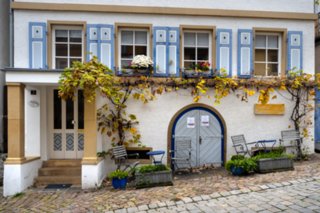 20231103_bad_wimpfen_238