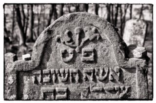 20110308_schoental_058-bearb-bearb-bw