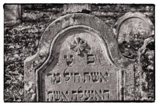 20110308_schoental_063-bearb-bw
