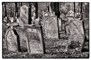 20110308_schoental_071-bearb-bw