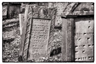 20110308_schoental_082-bearb-bw