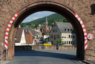 106_20090604_0182