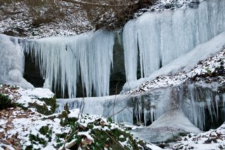 20090113_0005