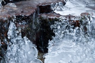 20090113_0007