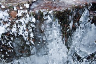 20090113_0008