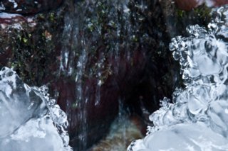 20090113_0016