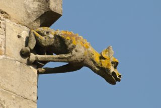 20090415_0021